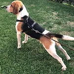 Affittacamere Il Colle Faicchio
