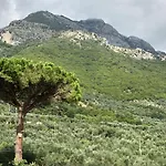 Il Colle Affittacamere Faicchio
