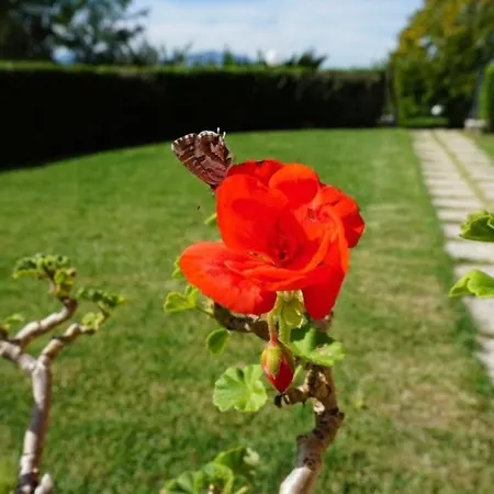 Il Colle Гостевой дом