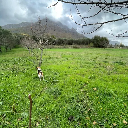 Maison d'hôtes Il Colle