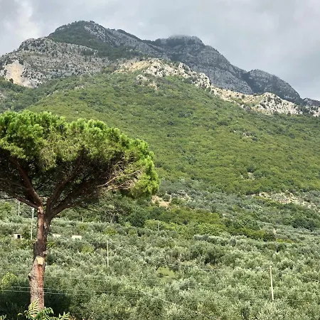 Il Colle Maison d'hôtes Faicchio