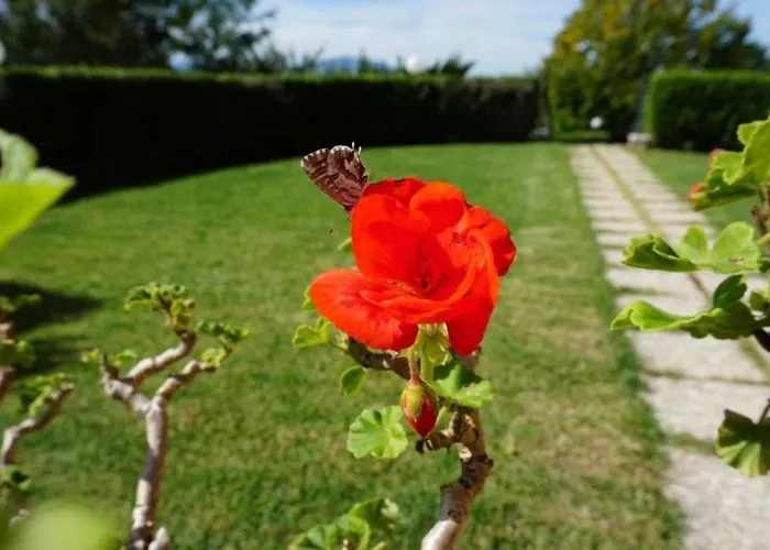 Il Colle Πανσιόν