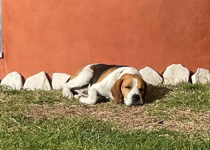 Il Colle Penzion Faicchio