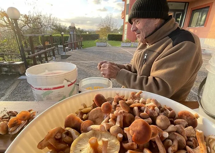 Il Colle 3* Faicchio