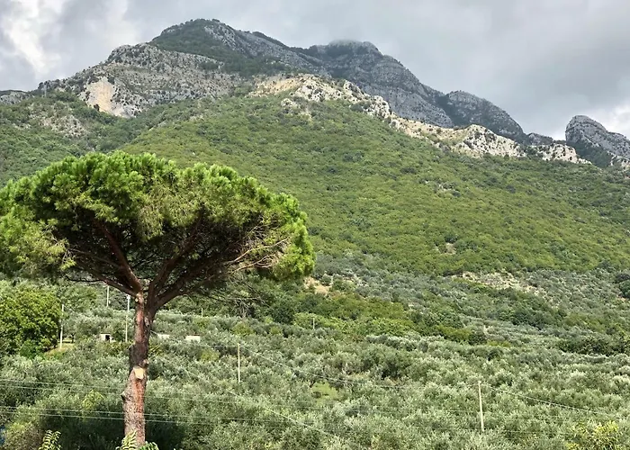 Il Colle Πανσιόν Faicchio
